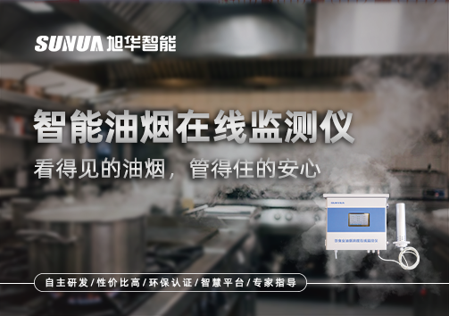 智能油烟在线监测仪：看得见的油烟，管得住的安心